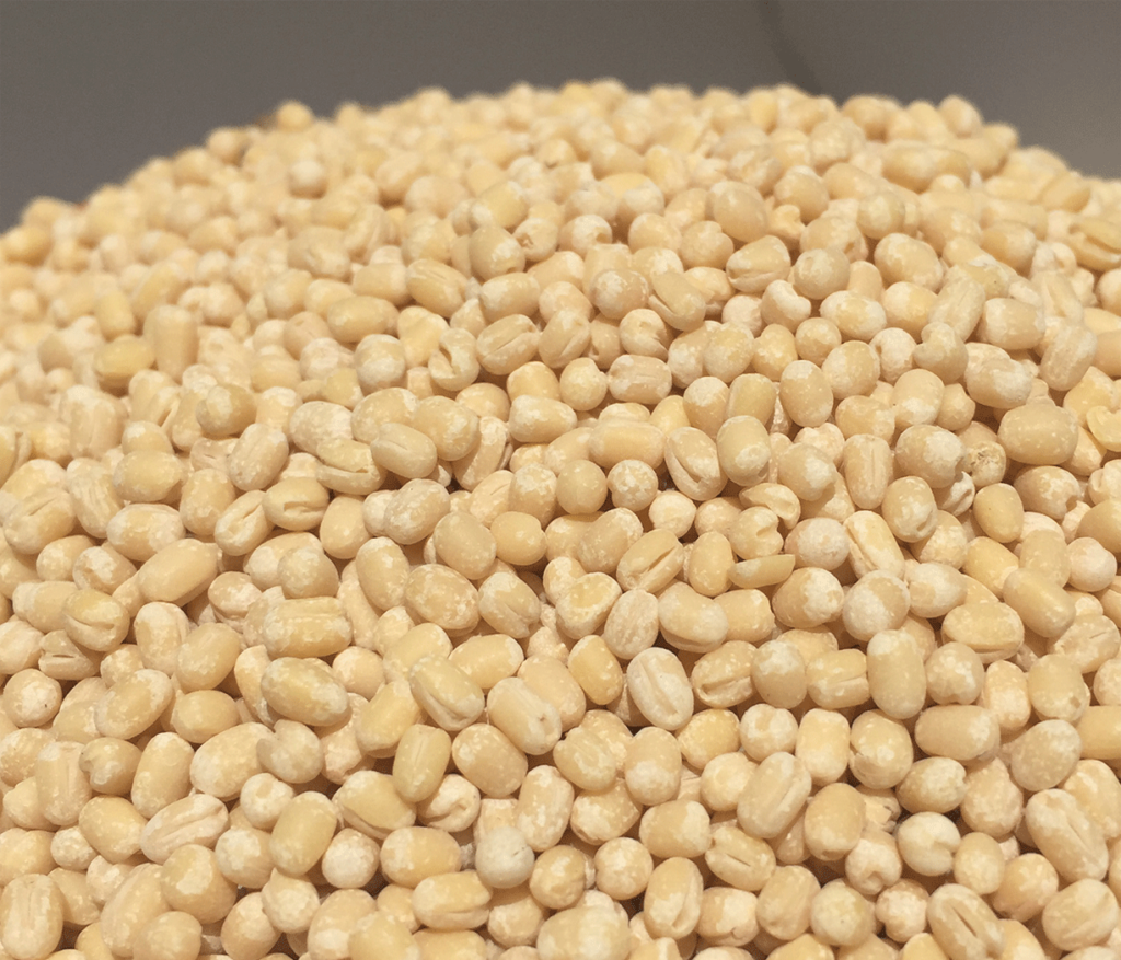URAD DAAL
